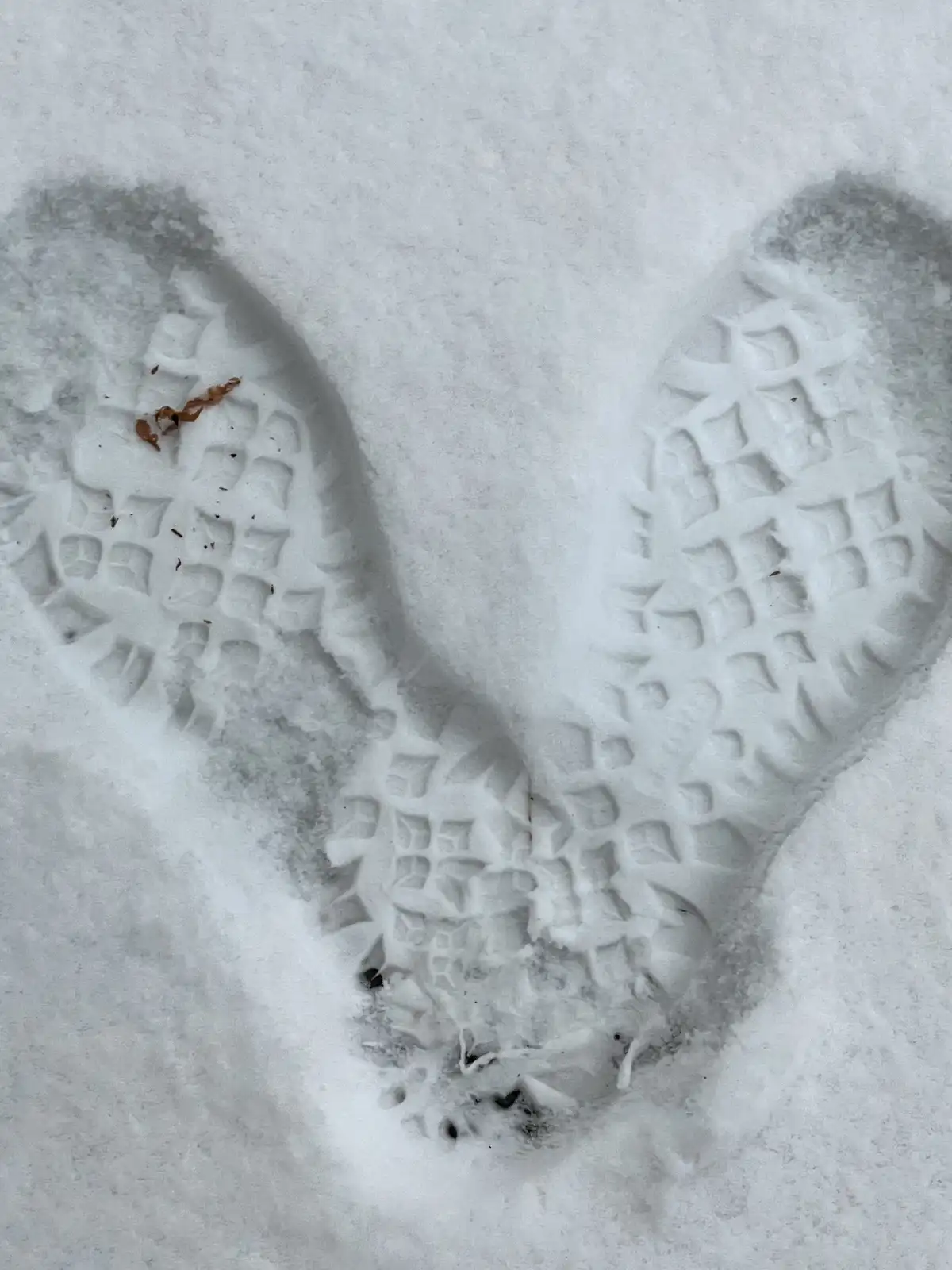 A close-up photo shows two distinct, deep footprints in fresh snow, revealing the textured tread pattern of winter boots…