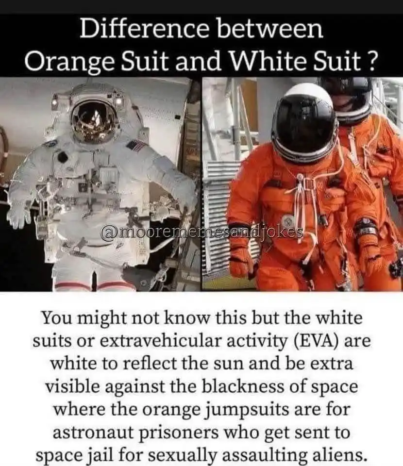 Today I Learned: A little nugget of knowledge!