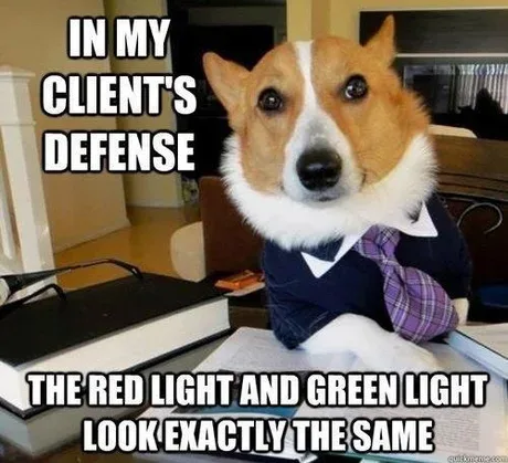 A corgi wearing a dark suit, white shirt, and purple plaid tie sits at a desk with books and papers, looking serious. The…