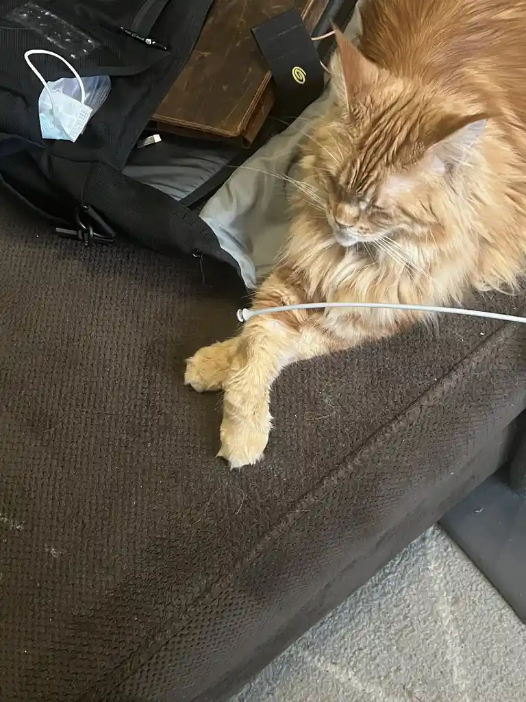 Are You Finished Yet?