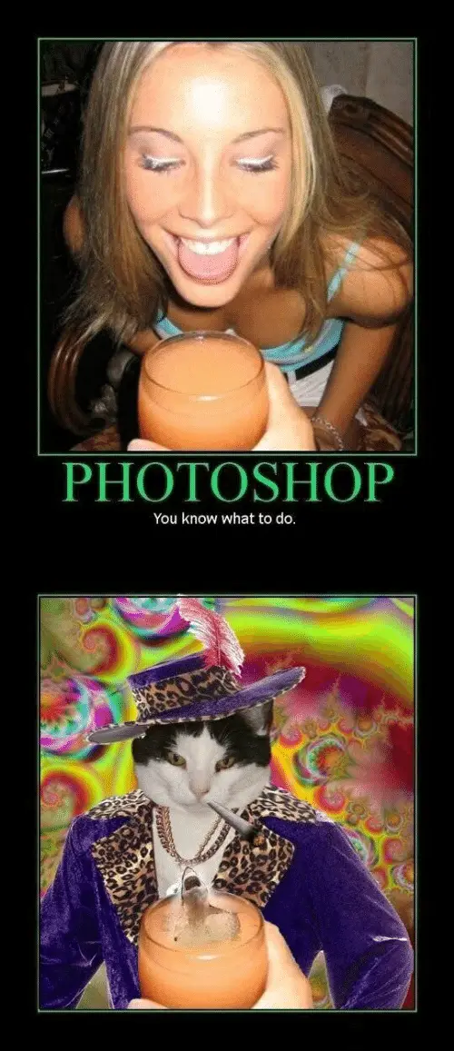 The image is a two-panel meme. The top panel shows a smiling woman with blonde hair, sticking her tongue out while holding a…
