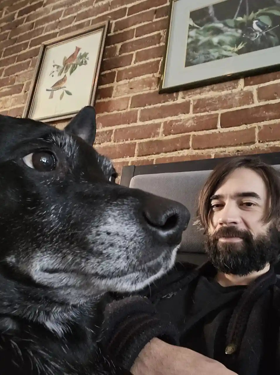 A close-up selfie shows a black dog with gray muzzle fur and a man with a beard sitting beside it on a couch. Behind them is…