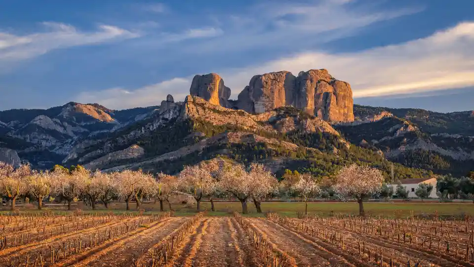 Inland Catalonia's limestone formations, like the iconic Roques de Benet, meet agriculture. Neat vineyard rows, still bare…