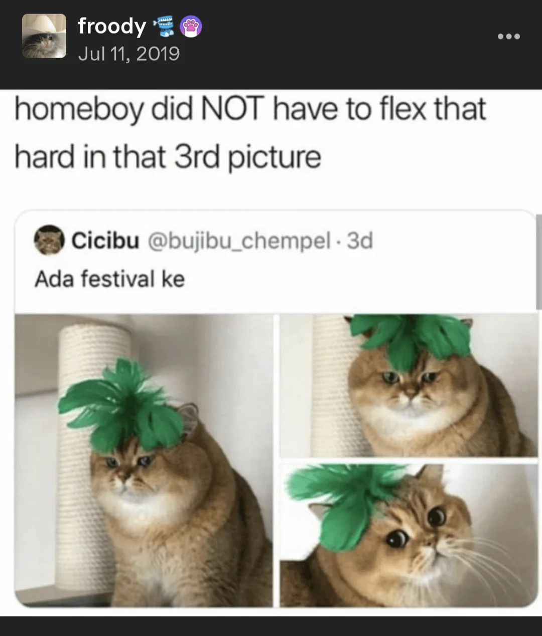 A social media post by 'froody' from July 11, 2019, features a three-panel image of a fluffy, light brown cat wearing a…