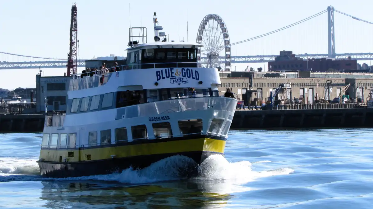 A blue and gold ferry named 'Golden Bear' from the 'Blue & Gold Fleet' moves through water, creating a wake. In the…