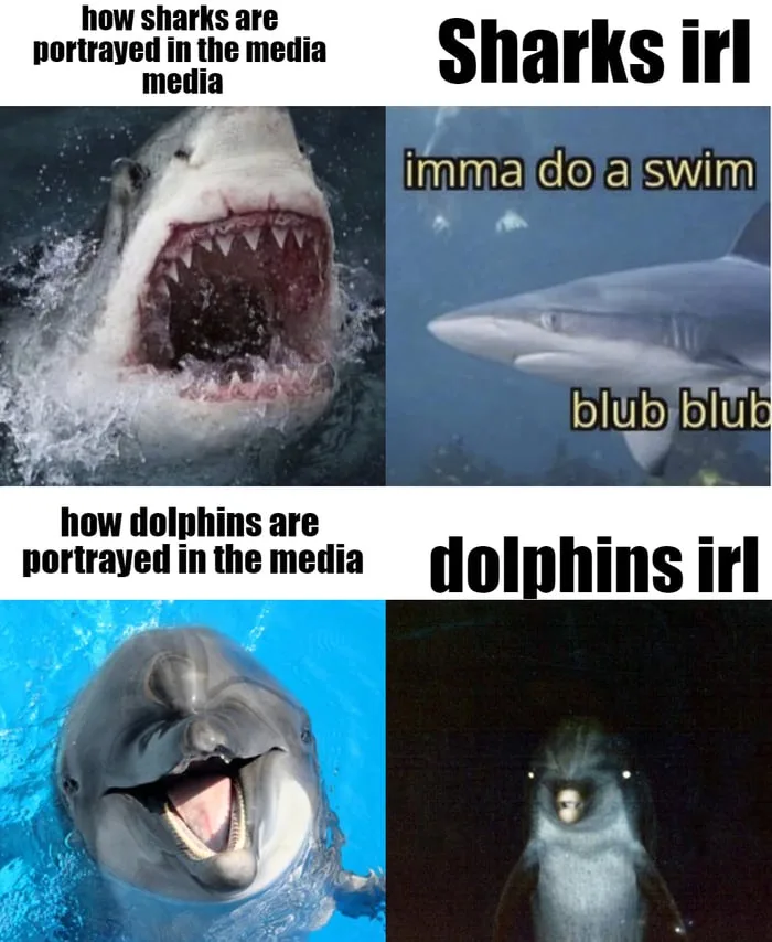 A four-panel meme comparing media portrayals versus reality. Top left: a menacing shark with text 'how sharks are portrayed…