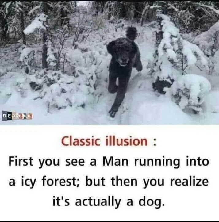 A black dog runs energetically through a snowy forest, its form and motion creating an optical illusion that makes it appear…