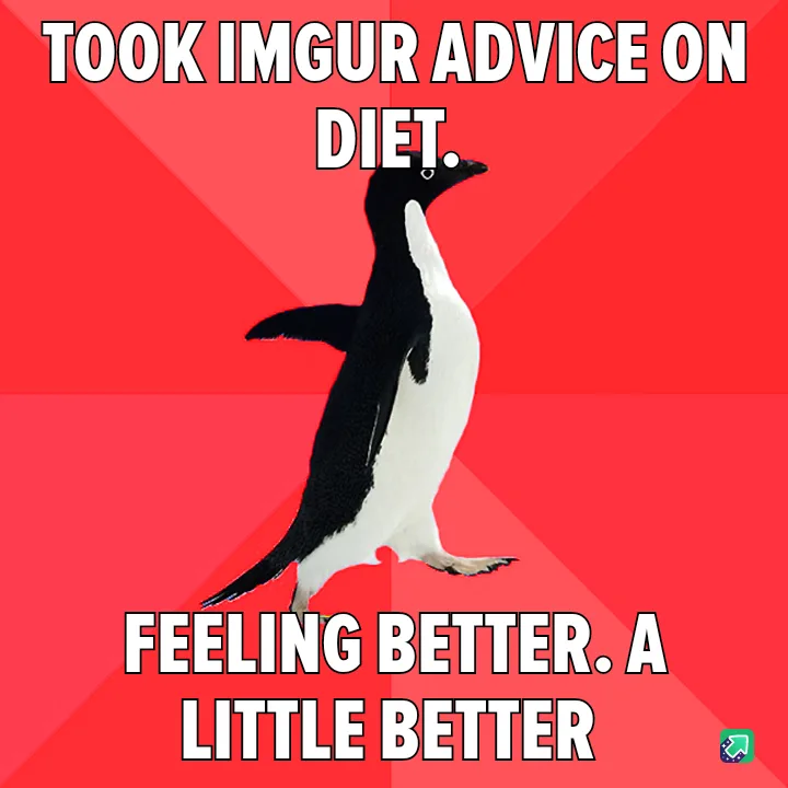 A black-and-white penguin stands against a red background with diagonal stripes. White bold text at the top reads 'TOOK…