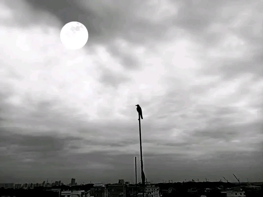 A black-and-white photo shows a bird perched atop a tall pole against a cloudy sky with a bright full moon. The bird's…