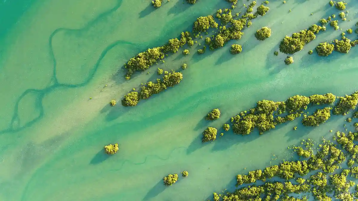 Waiwera, named for "hot water" despite its chilly South Pacific setting, was once a bustling vacation spot featuring…