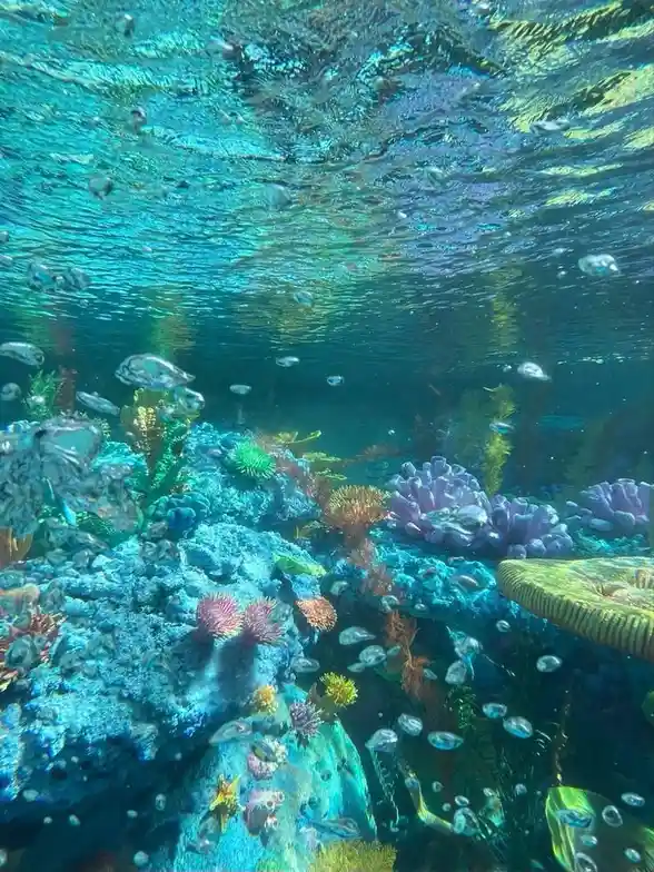 The Curious Case of the Fishy Fish