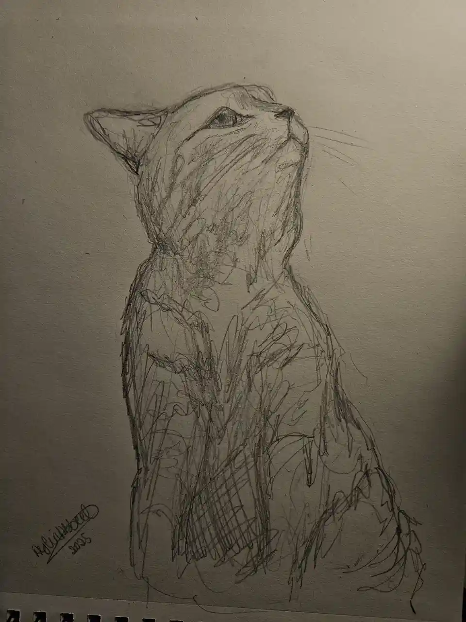 A Quick Sketch of My Adorable Cat
