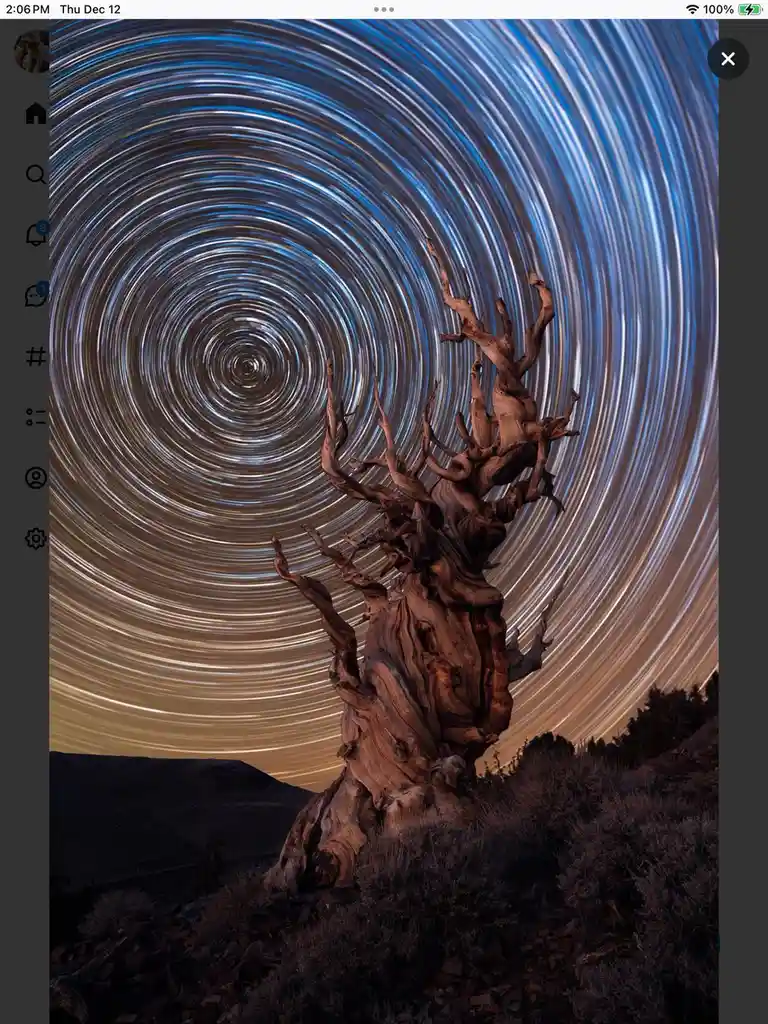 A long-exposure photograph shows a gnarled, ancient tree with twisted branches against a sky filled with concentric circular…