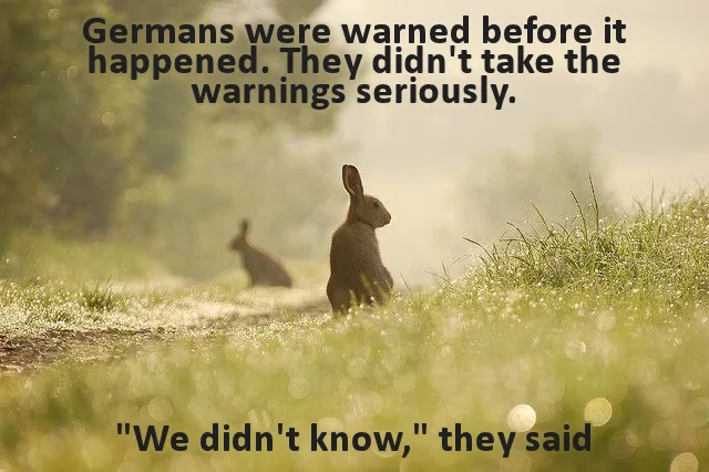 A serene photo of two rabbits in a grassy field with morning mist and sunlight, overlaid with text claiming Germans were…