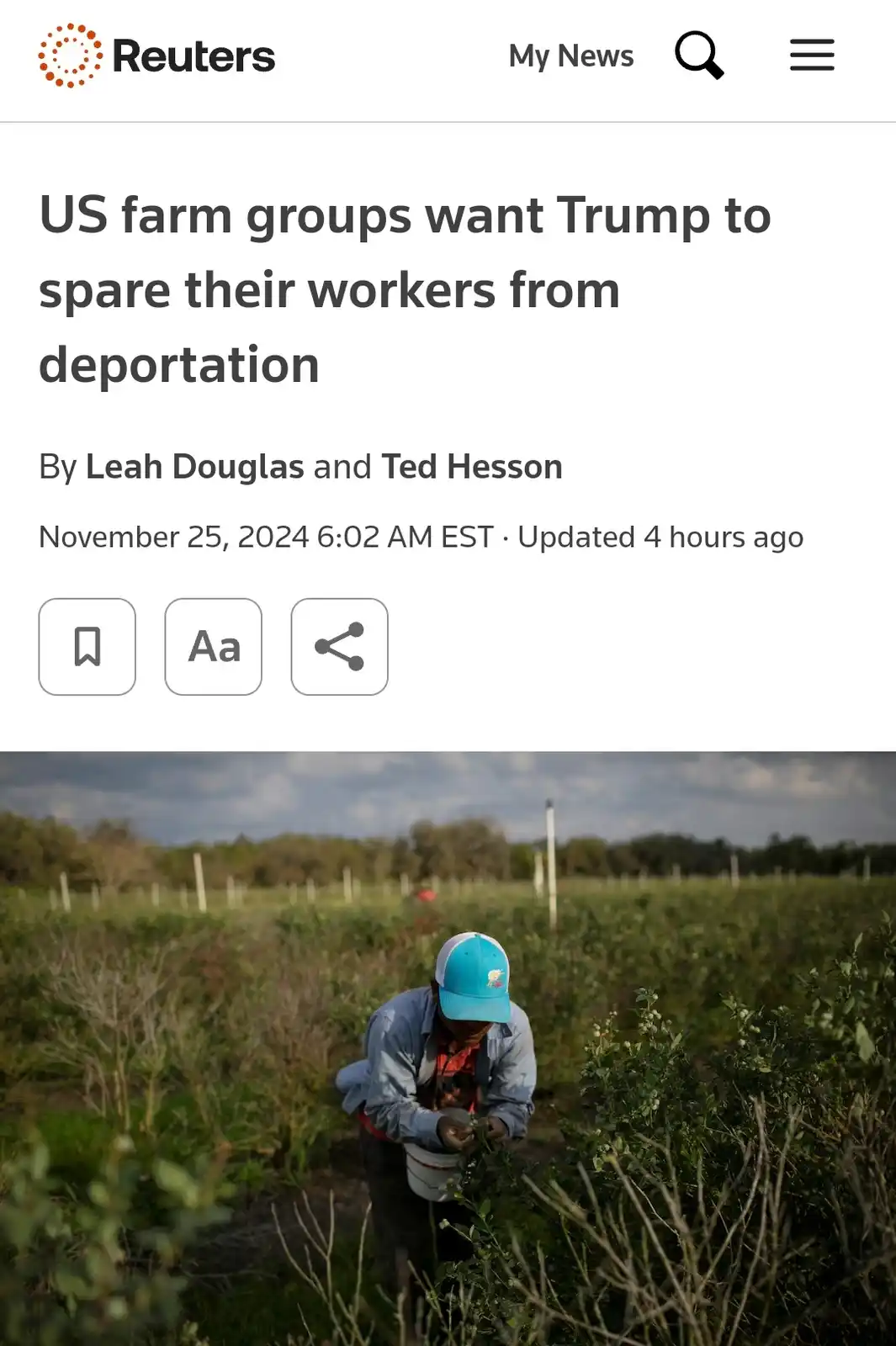 A screenshot of a Reuters news article dated November 25, 2024, with the headline 'US farm groups want Trump to spare their…