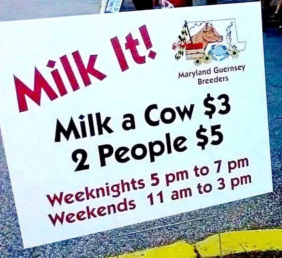 A white sign for 'Maryland Guernsey Breeders' advertises 'Milk It!' with pricing: $3 for one person to milk a cow, $5 for…