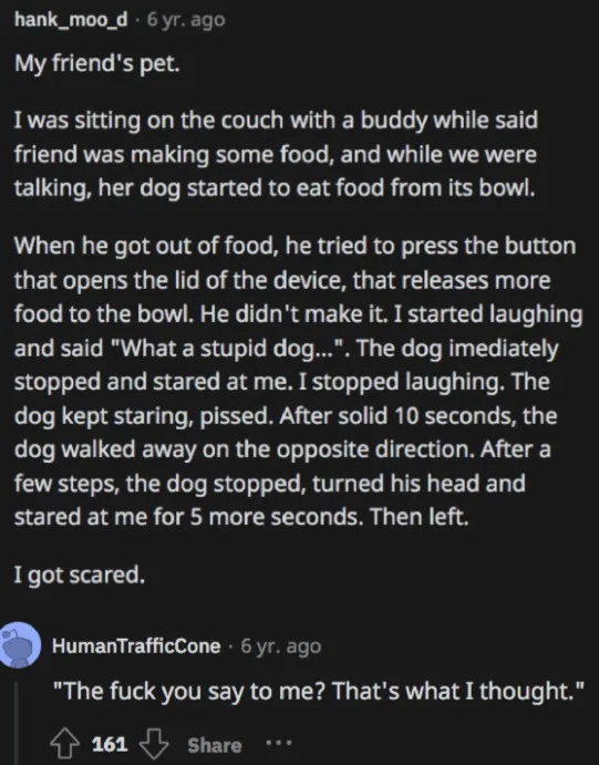 A screenshot of a Reddit comment thread where a user recounts how their friend's dog, after being called a 'stupid dog' for…