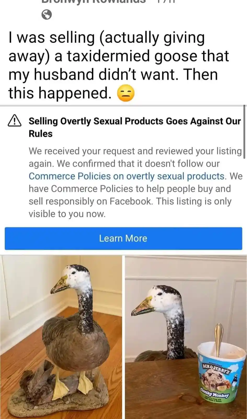 A Facebook Marketplace listing rejection notice for a taxidermied goose is shown above two photos: one of the goose standing…