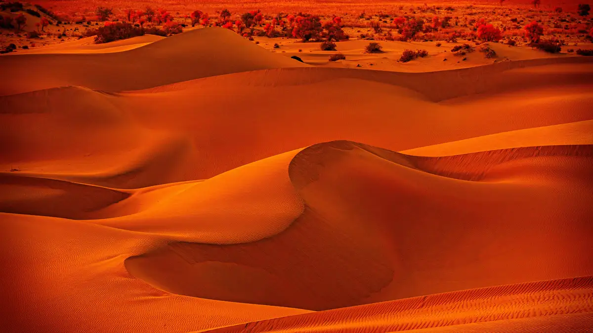 Vibrant hues of orange and pink paint the desert sky as the sun dips low, casting a warm glow on towering dunes of golden…