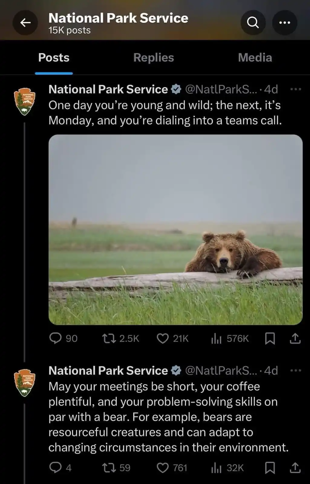 A screenshot of a National Park Service social media post featuring a photo of a brown bear lying down on a log in a grassy…