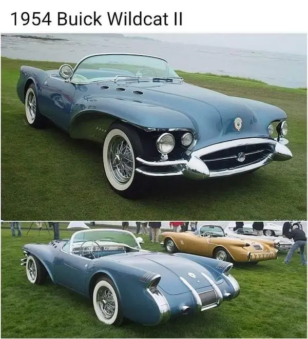 The image displays two photos of a blue 1954 Buick Wildcat II convertible parked on grass near water. The top photo shows…