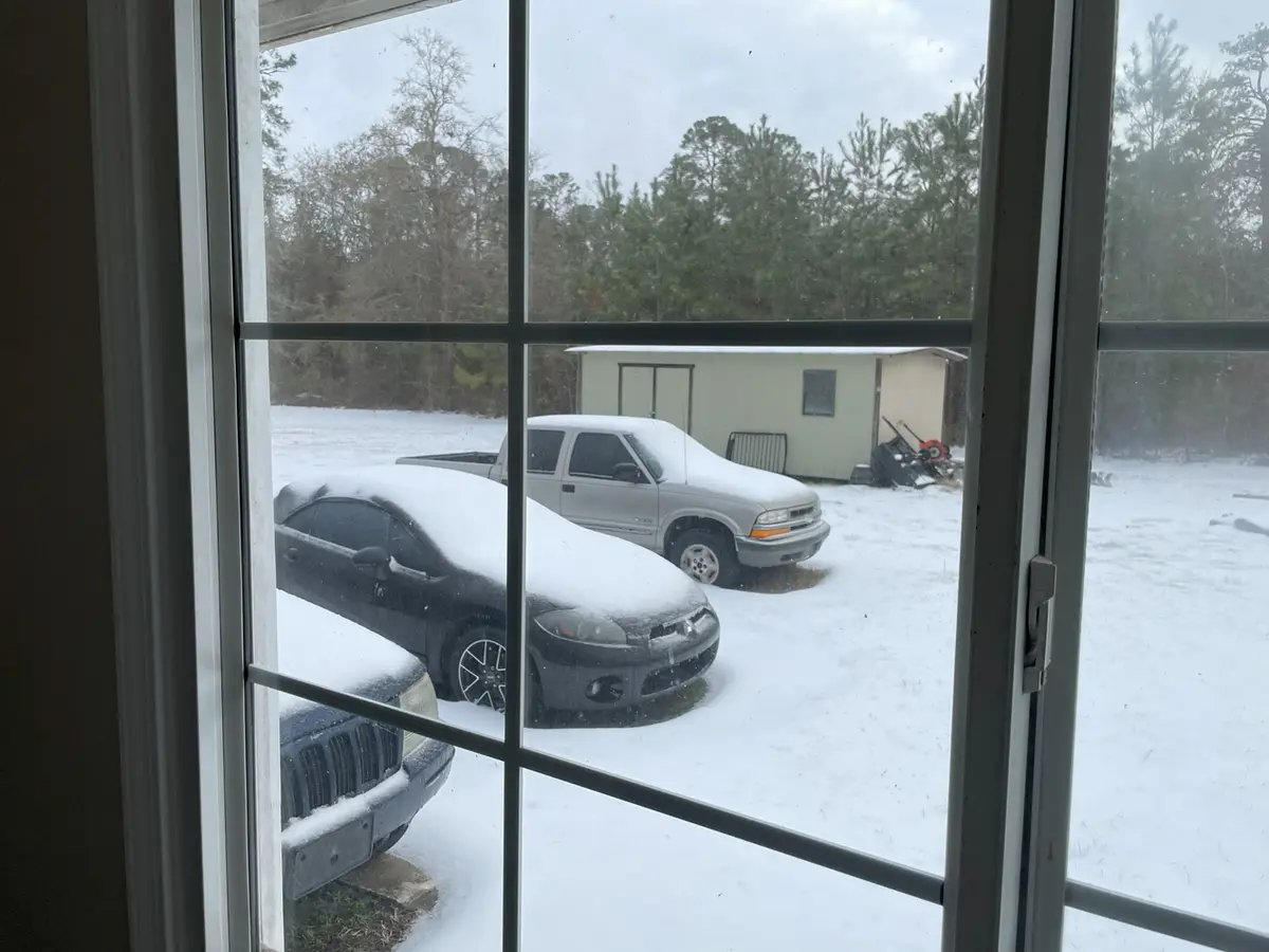A view from inside a house looking out through a multi-paned window at a snowy yard with three cars covered in snow, a shed…