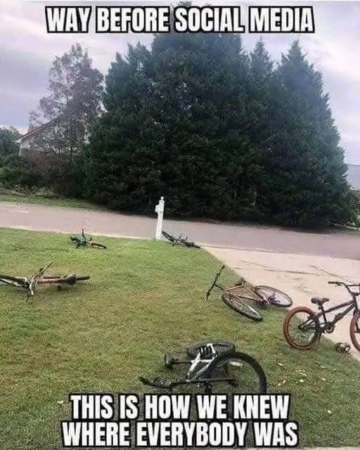 An outdoor photo shows multiple bicycles lying on a grassy lawn next to a sidewalk and large evergreen trees, with a white…