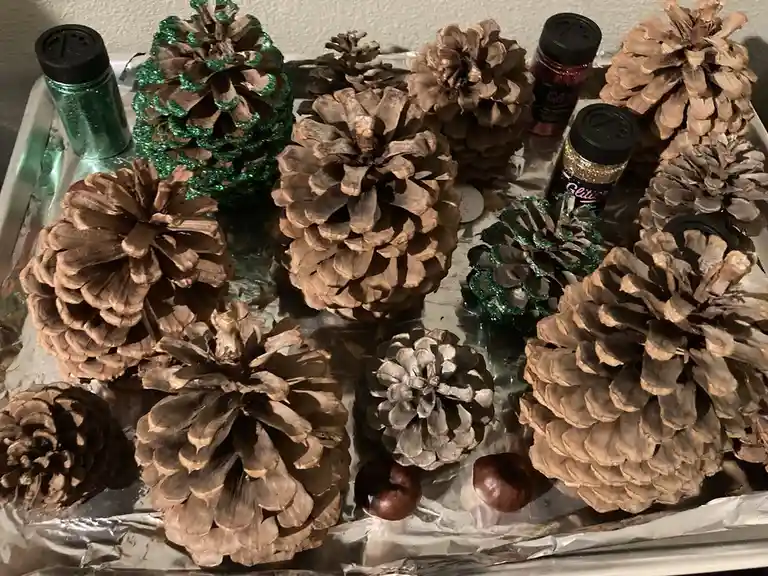 Let’s Go Team Pinecone! We’ve Got This!