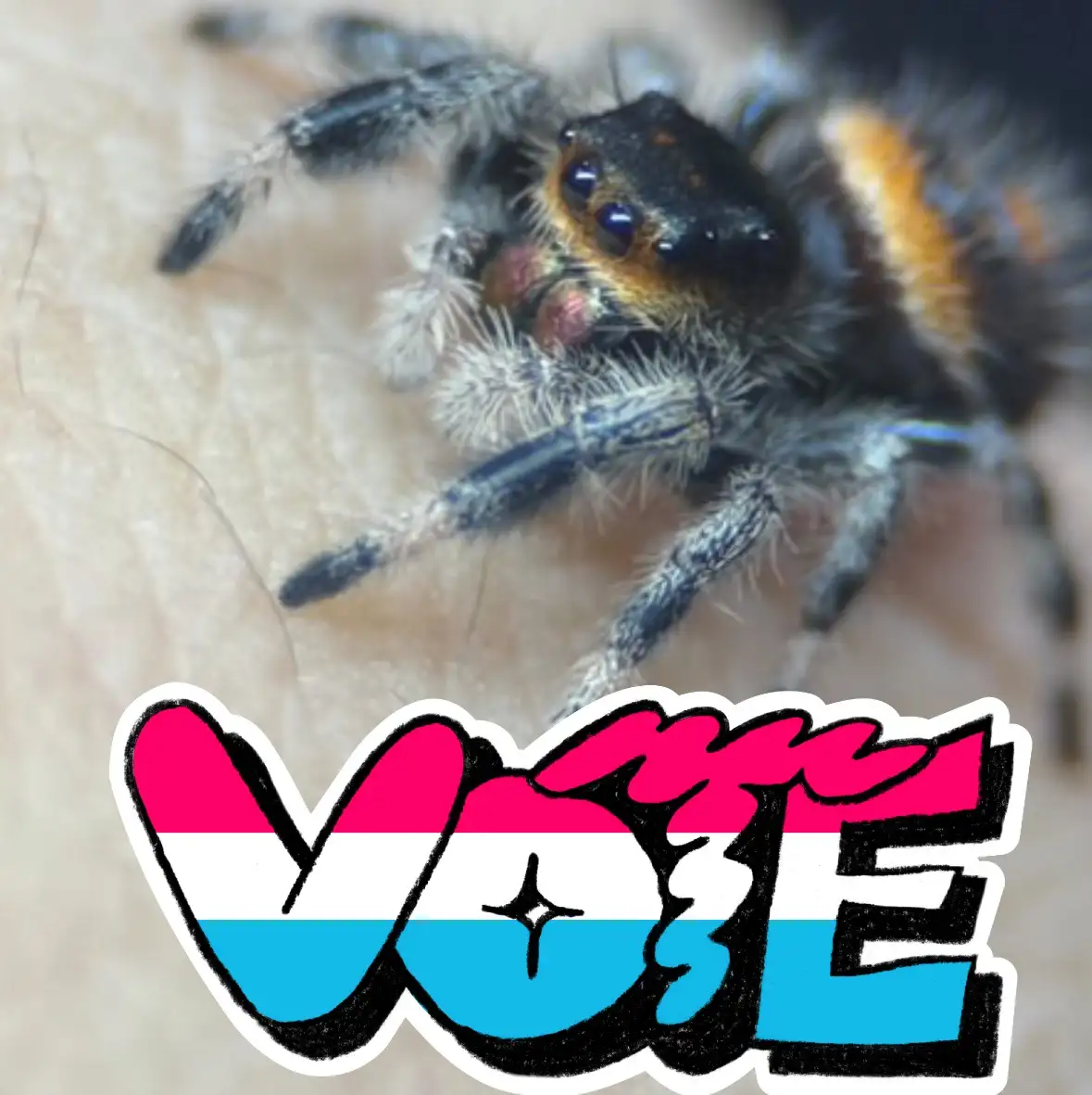 A close-up photo of a fuzzy, colorful jumping spider resting on human skin, with the word 'VOTE' overlaid in large, stylized…