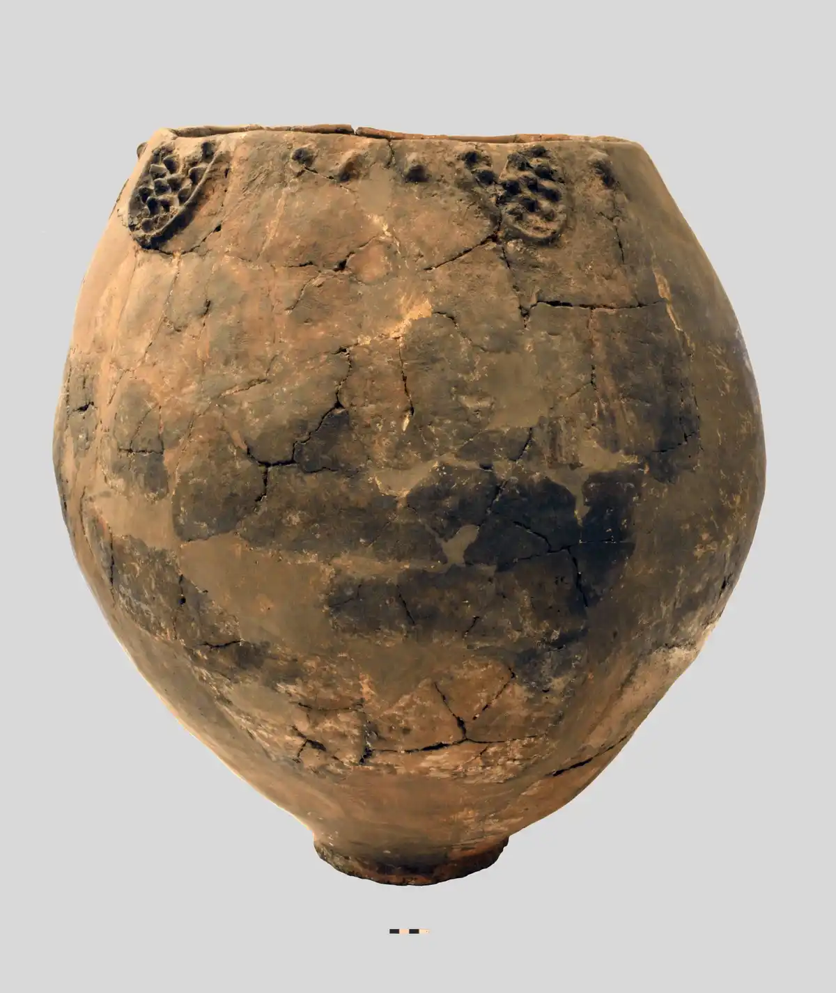 The Origins of Wine: Dating Back 8,000 Years!