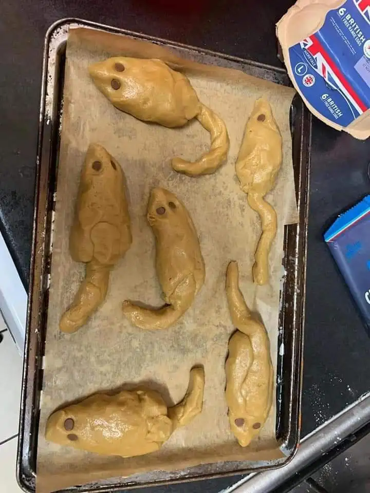 A baking tray lined with parchment paper holds six pieces of unbaked dough shaped like frogs, each with two small chocolate…