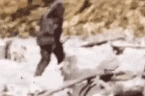 A six-panel sequence shows a blurry, sepia-toned figure resembling Bigfoot walking through snowy terrain. The figure moves…