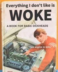 A vintage-style book cover parody titled 'Everything I don't like is WOKE' with the subtitle 'A BOOK FOR BASIC DICKHEADS'…