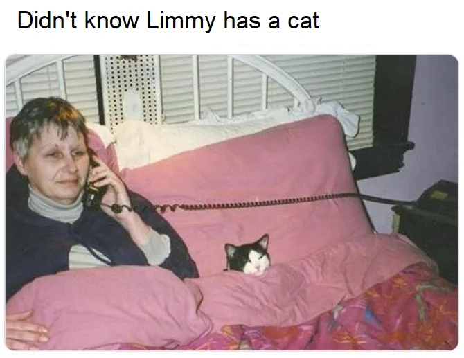 A woman with short hair sits on a bed with pink bedding, holding a corded phone to her ear. A small black-and-white cat is…
