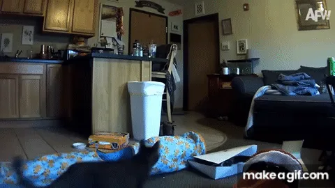 A split-screen gif shows a black cat in a bedroom interacting with a small, fast-moving creature that appears to be a mouse…