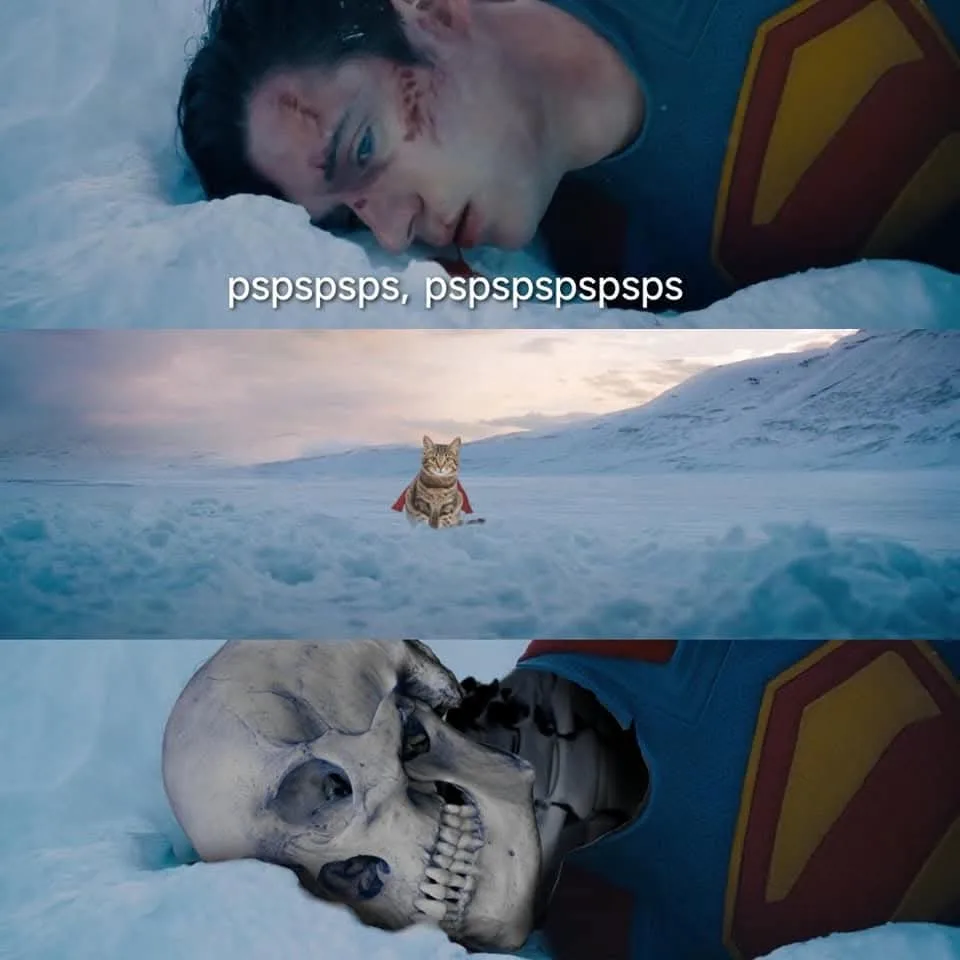 The meme features three panels: top, a wounded Superman lying in snow with text 'pspspsps, pspspspsps'; middle, a cat…