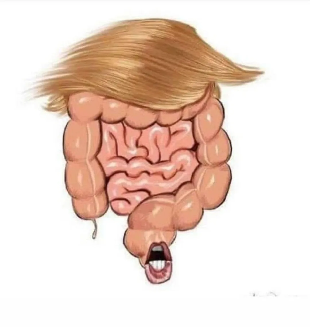 An illustration of human intestines shaped like a human head with a mouth open in a scream and topped with a blonde…
