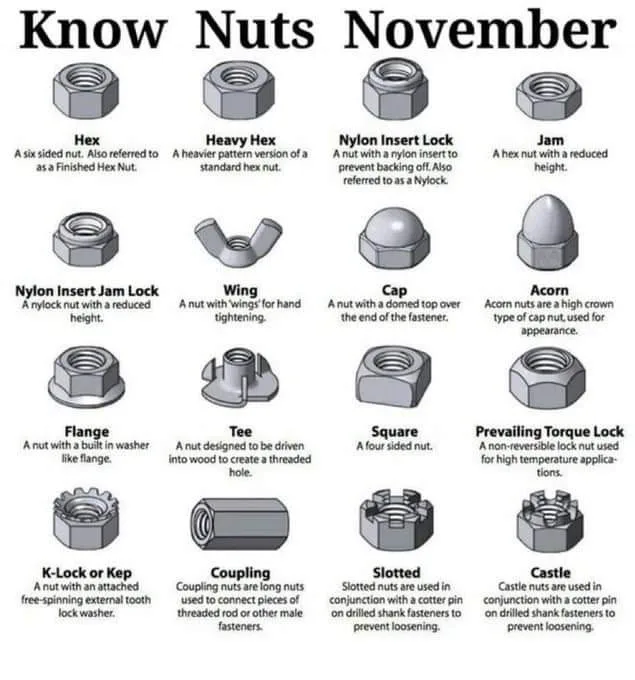 Embrace the Quirkiness of Know Nuts November