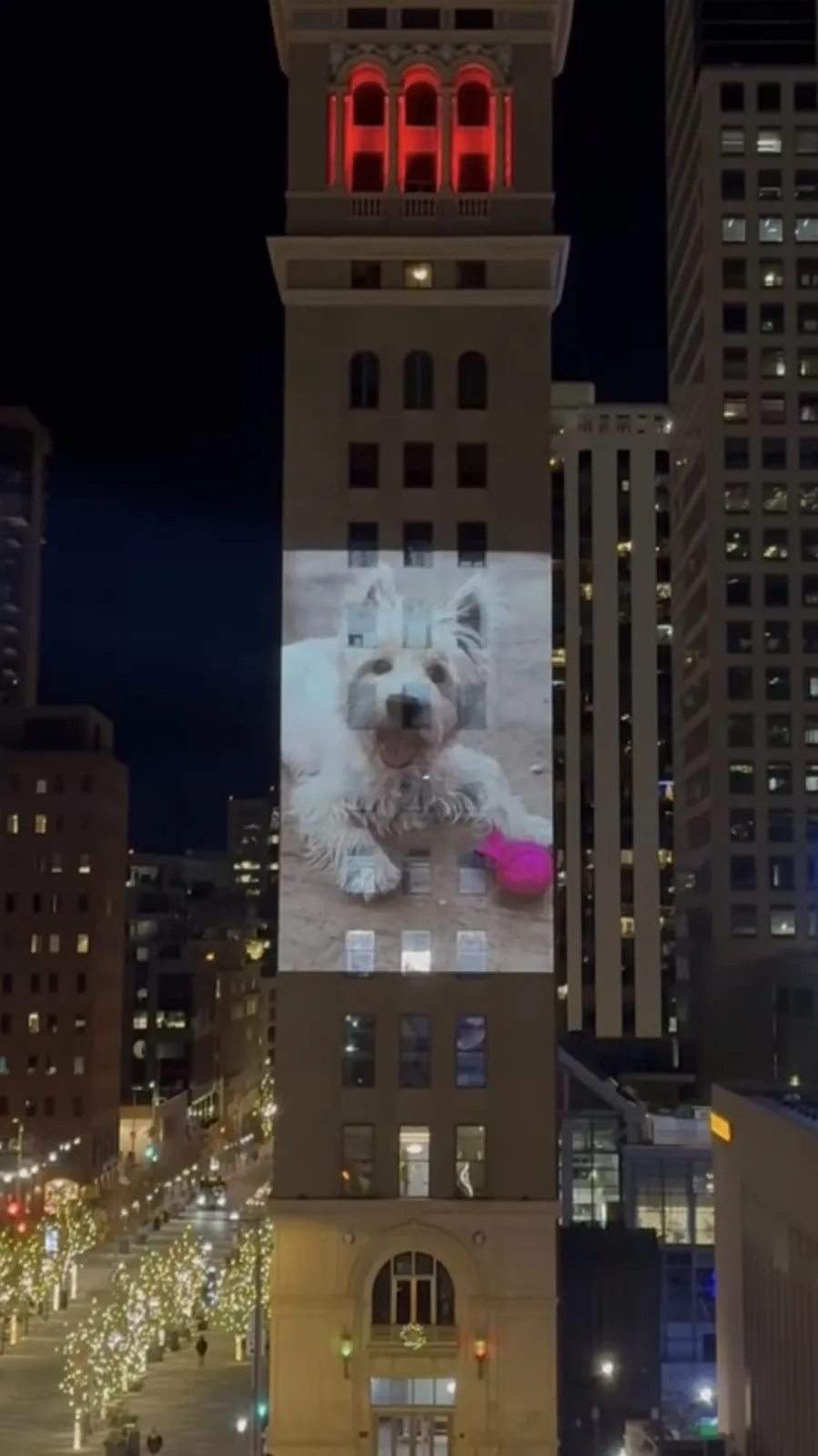 A nighttime cityscape shows a tall building with a large projection of a fluffy white dog on its side. The dog appears to be…