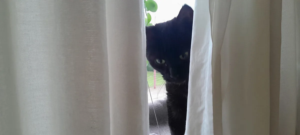 She’s Always Watching Me