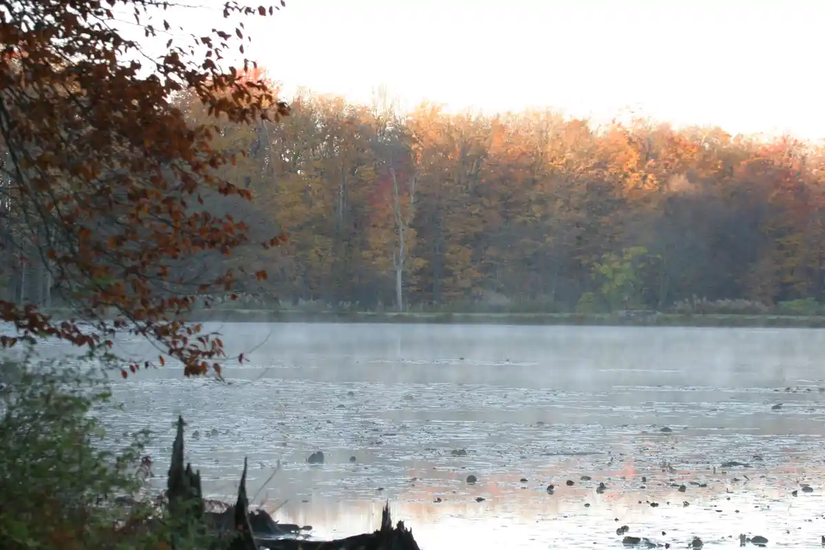 A serene autumn morning at a misty lake, with orange and red foliage on trees lining the shore, and frost or ice patches on…