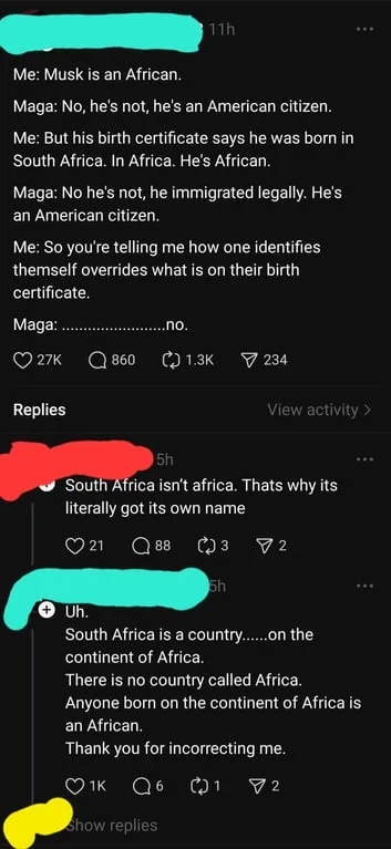 A screenshot of a social media thread where a user argues that Elon Musk is African because he was born in South Africa, and…