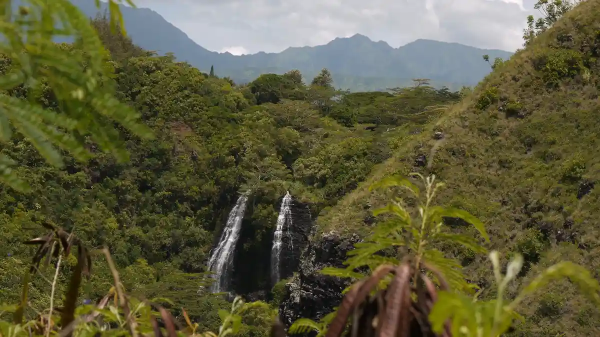 A scenic view of a lush green valley with two waterfalls cascading down a rocky cliff, framed by out-of-focus foliage in the…