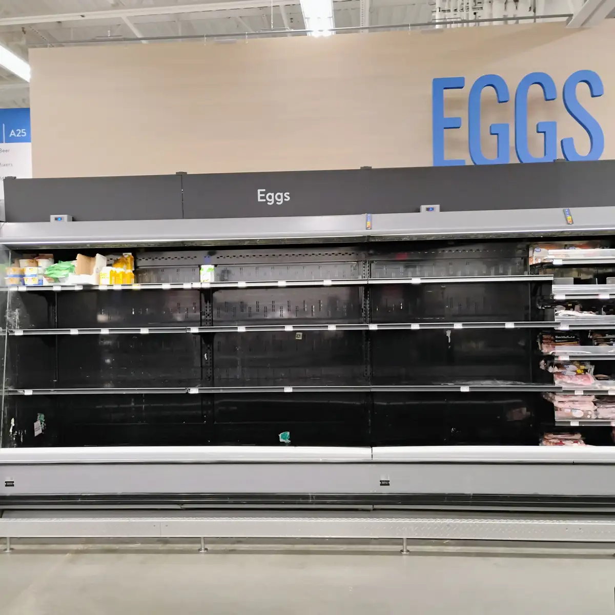 A photograph of nearly empty refrigerated shelves in a supermarket's egg section, with a large blue 'EGGS' sign above and…