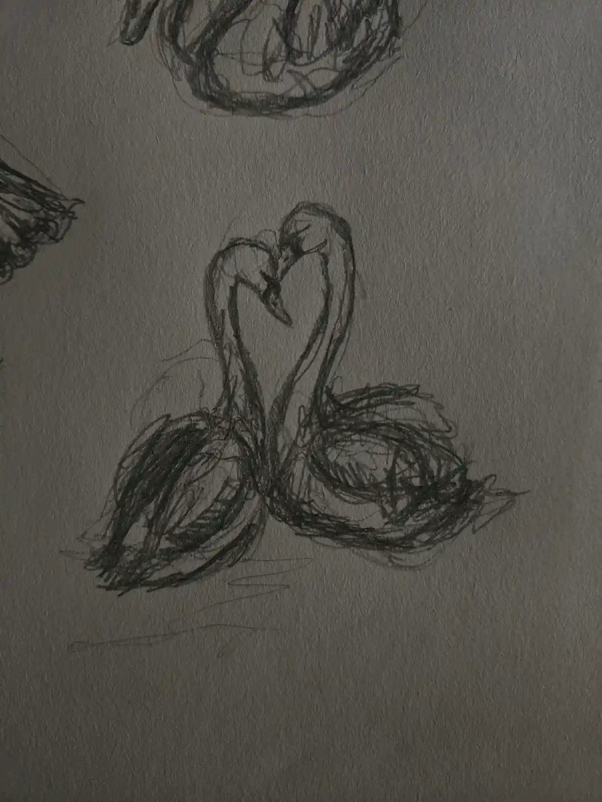 A Quick Sketch of Elegant Swans
