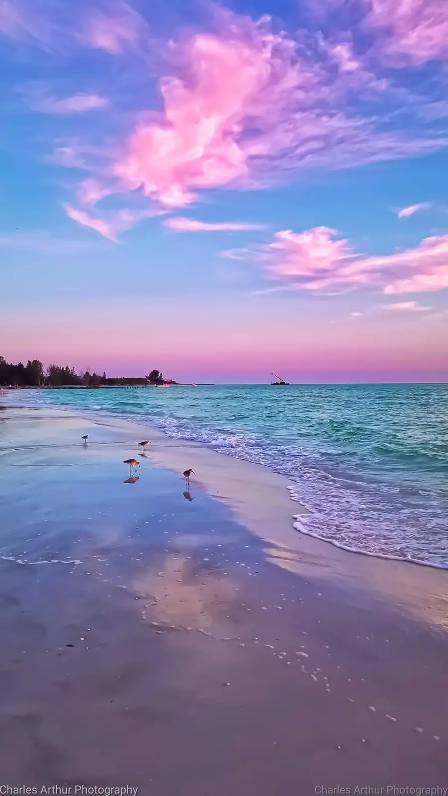 A serene beach scene at sunset or sunrise with pink and blue skies, turquoise water, and birds walking on the wet sand. The…