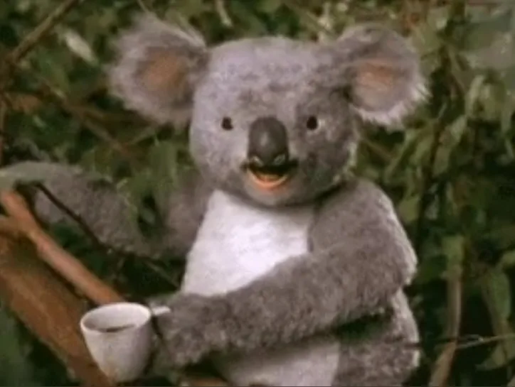 A grey, furry koala puppet with large ears and a smiling face sits in a tree holding a white teacup. The koala has a white…