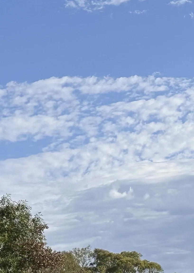 What Imagination Does This Cloud Spark for You?