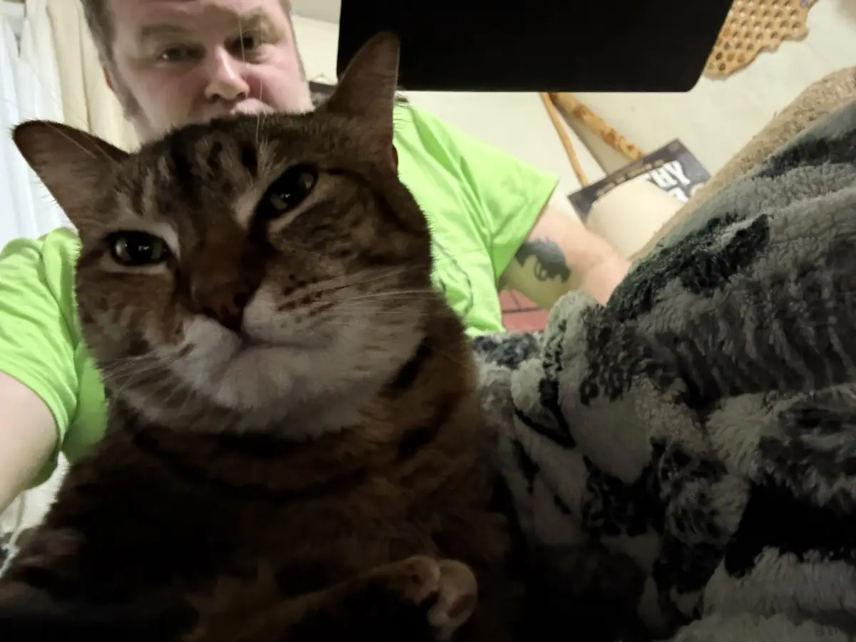 A close-up selfie shows a brown tabby cat with a white chest looking directly at the camera, its face partially obscuring…