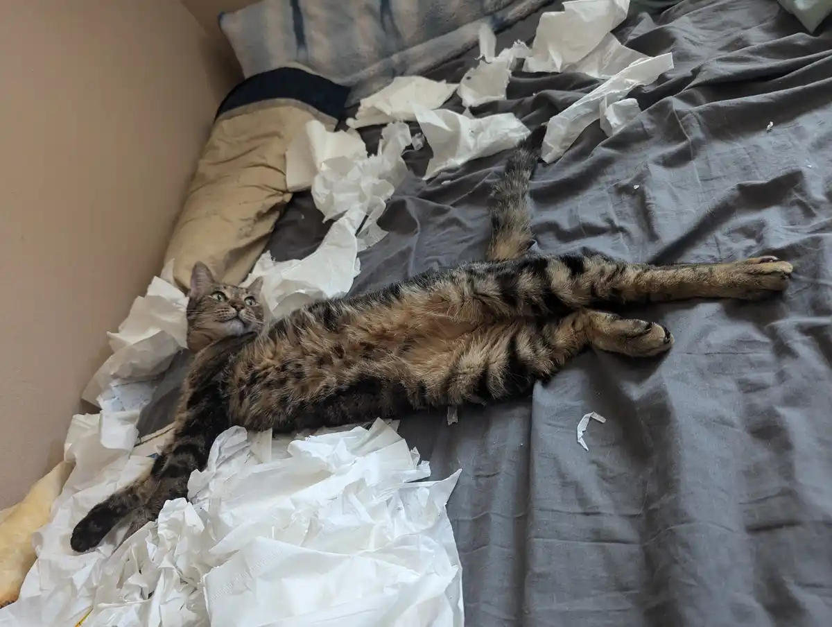 It’s Tempting, But He’s Not to Be Trusted